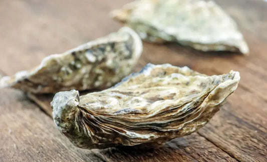 Dans quelle poubelle jeter les coquilles d’huîtres ?