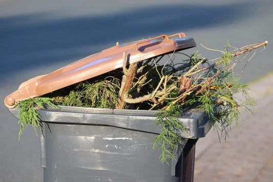 Où jeter les déchets verts ? Collecte, compostage et déchetterie