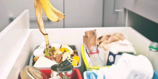Vers blancs dans la poubelle : causes, risques et solutions efficaces